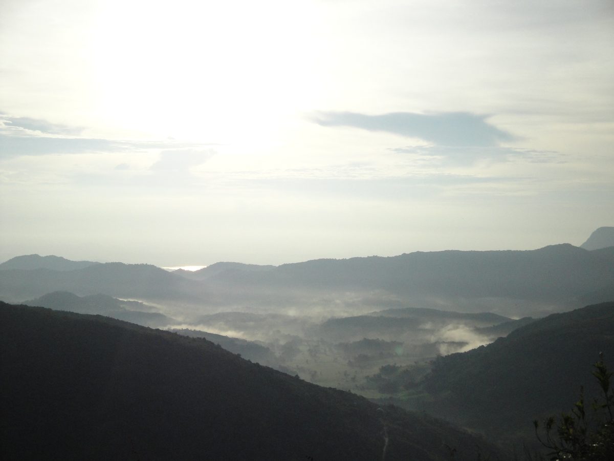 Misty morning valley, Knuckles Range
