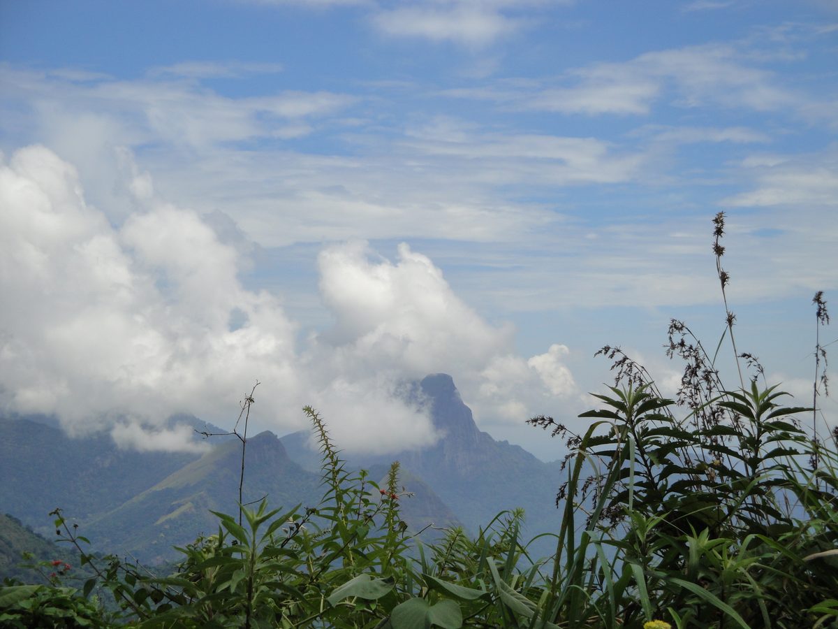 Mountain peak above clouds, Knuckles