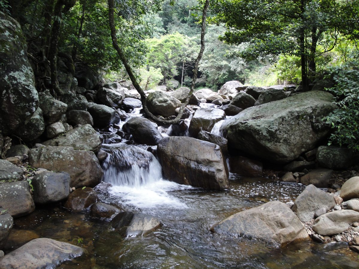 Stream through jungle, Knuckles